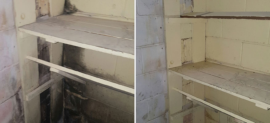 Mold Remediation before after